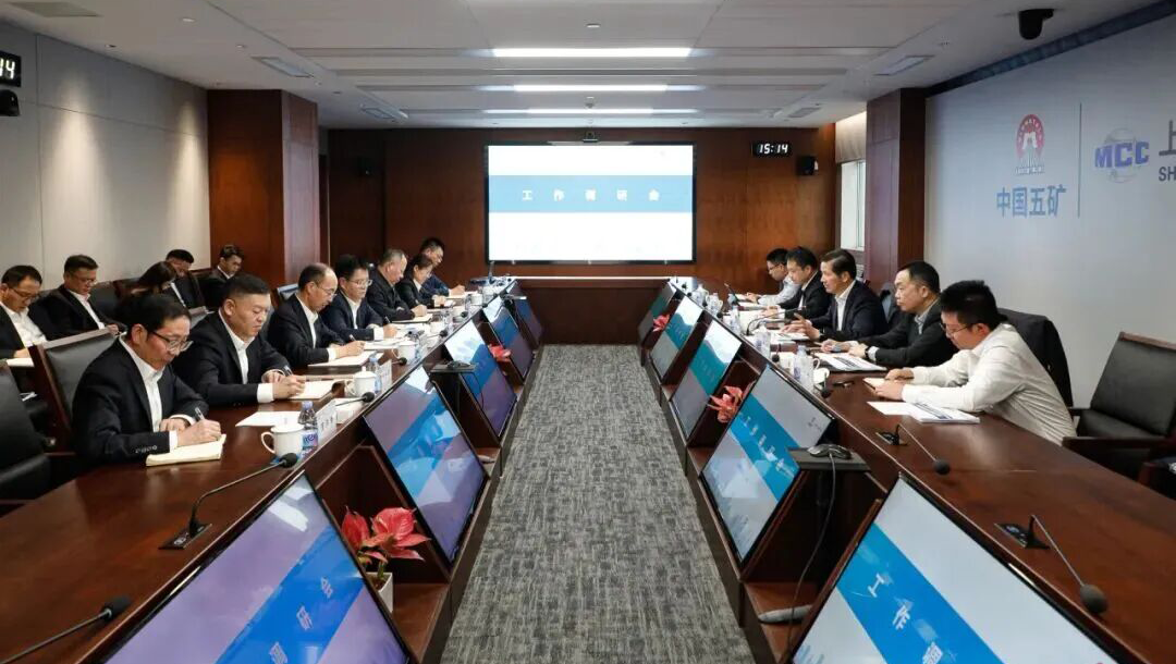 陈建光到上海万实新能源调研指导工作